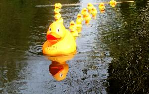 Latest News and Events